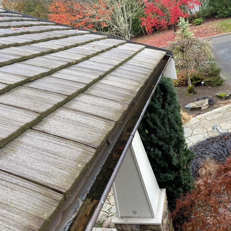 Gutter filled with debris before cleaning on roof edge