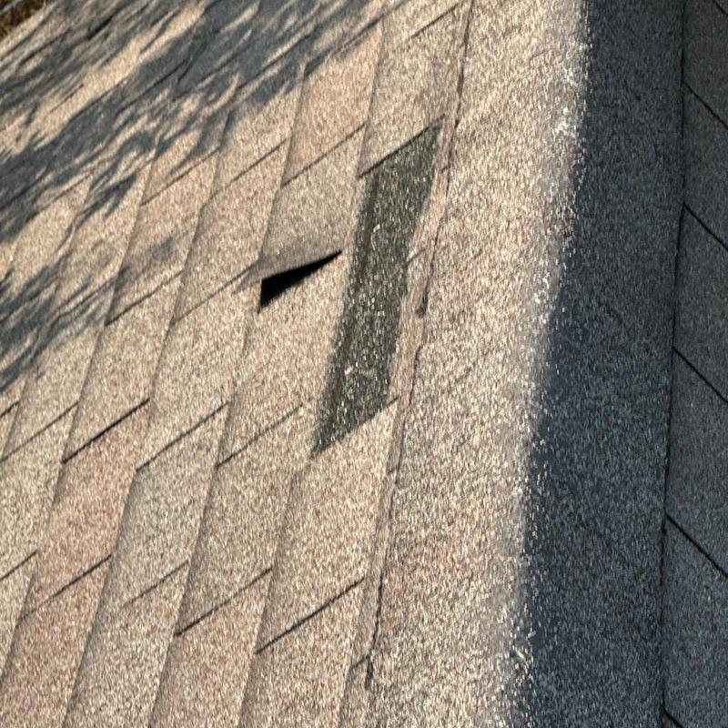 Asphalt roof shingles with lifted and damaged areas