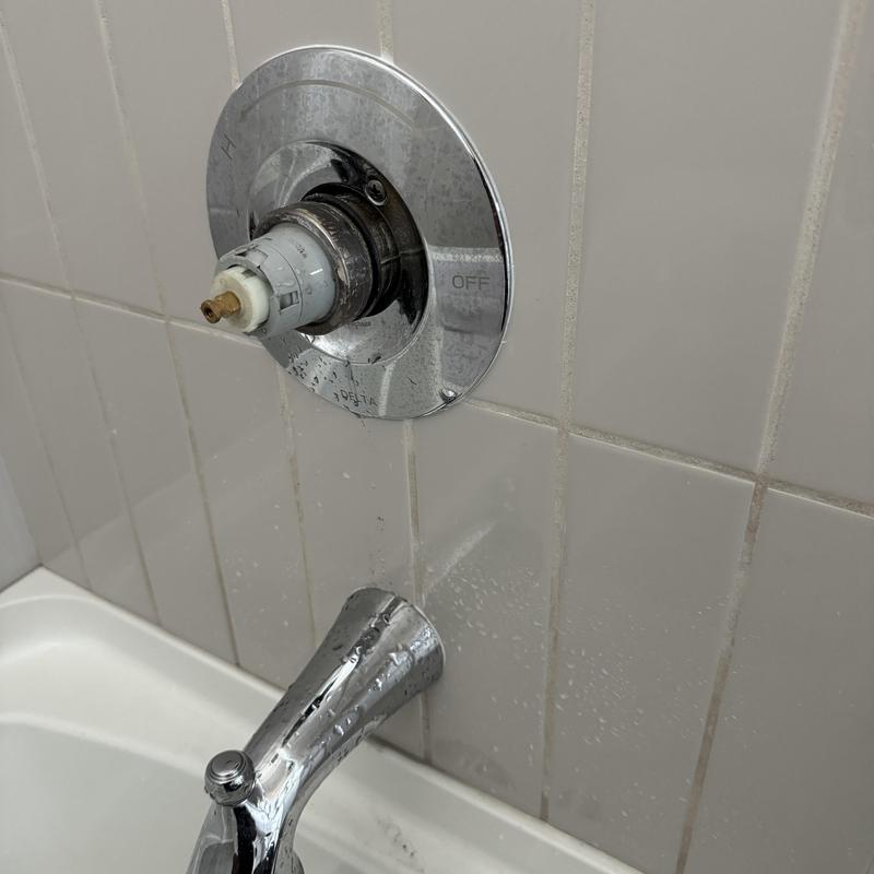 Delta shower valve cartridge with removed handle in tub