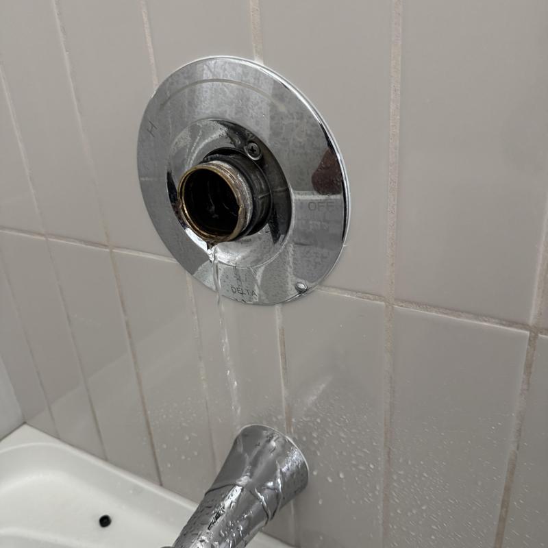 Delta shower valve with leaking cartridge and water flow