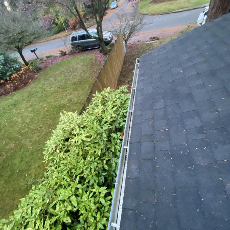 Roof gutter cleaning with leaf debris removal in Arlington