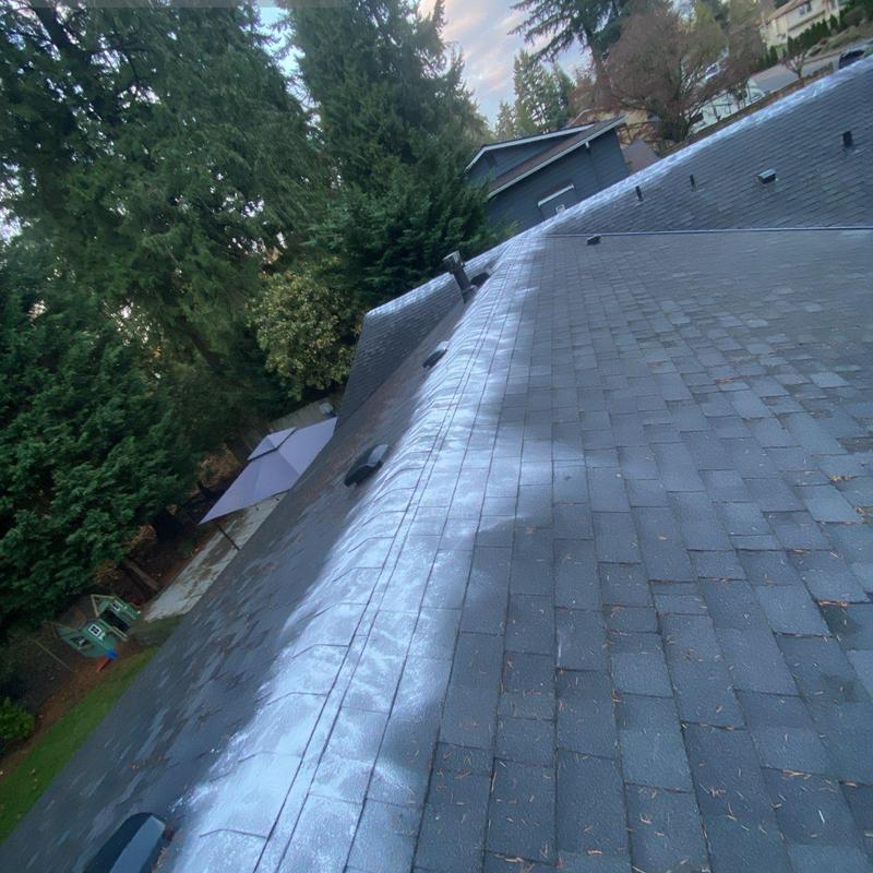 Asphalt shingle roof with moss treatment and cleaning
