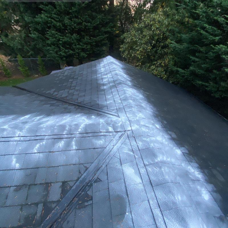 Roof moss treatment and removal on shingle roof