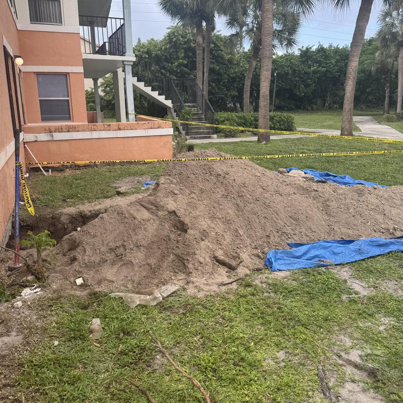 Sewer pipe excavation and root removal in yard