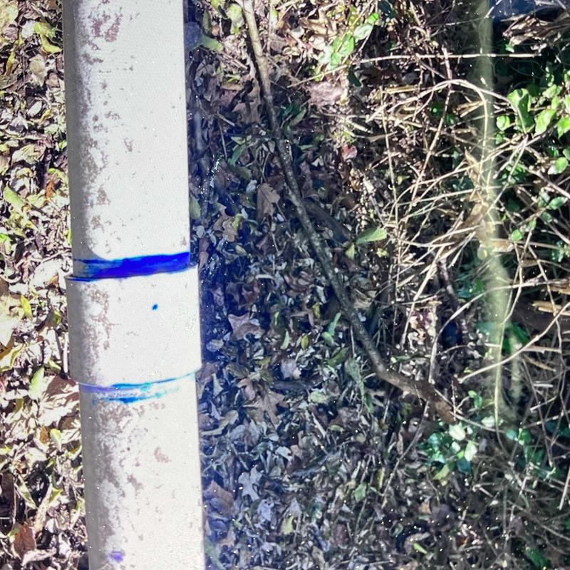 Sewer line pipe fitting reattached after limb damage outdoors