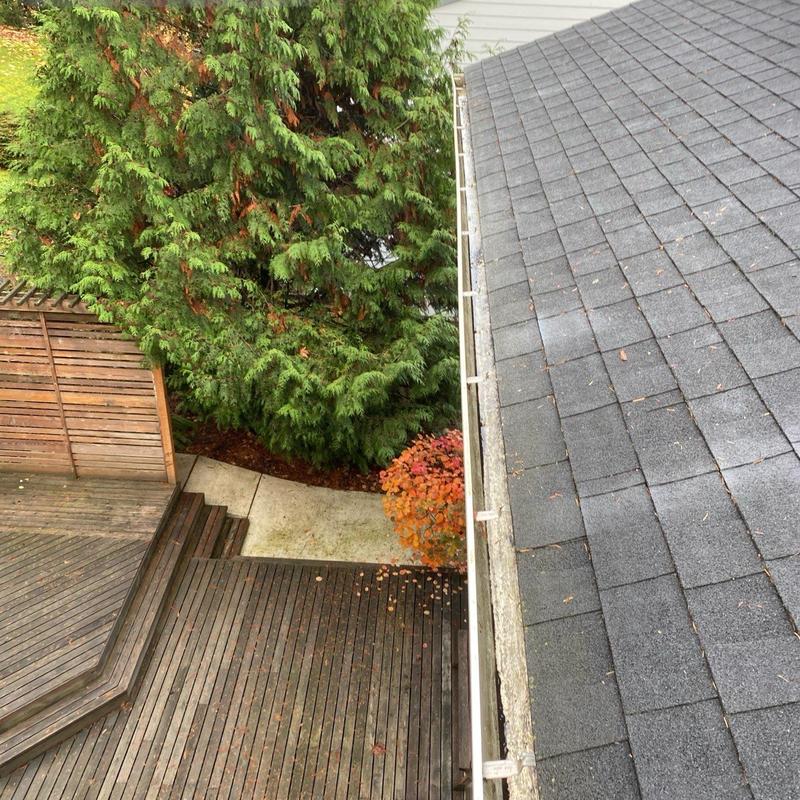 Roof gutters with light debris before cleaning