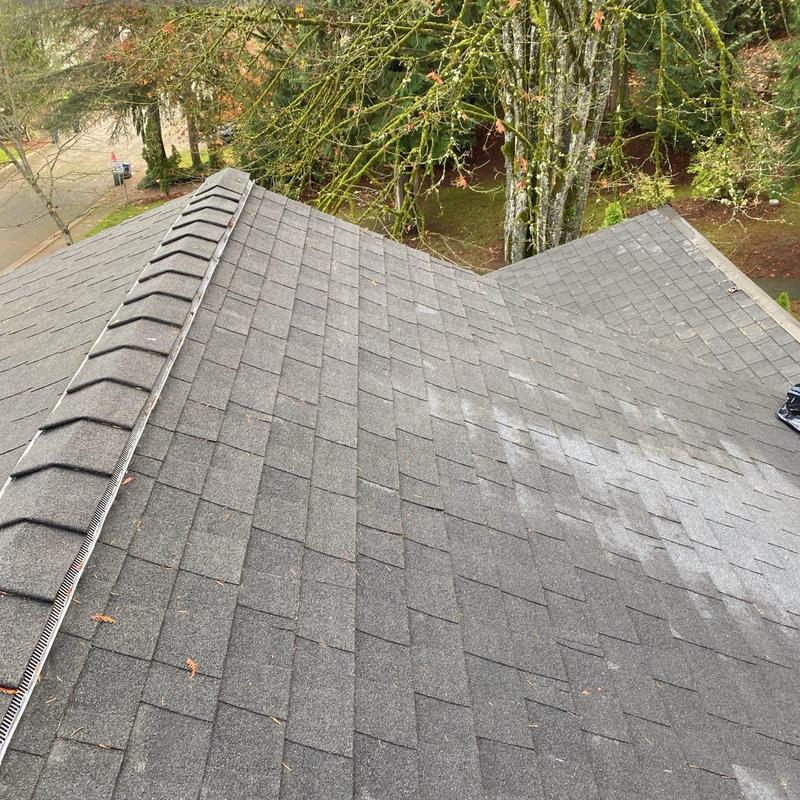 Asphalt shingle roof with ridge vent and leaf guard