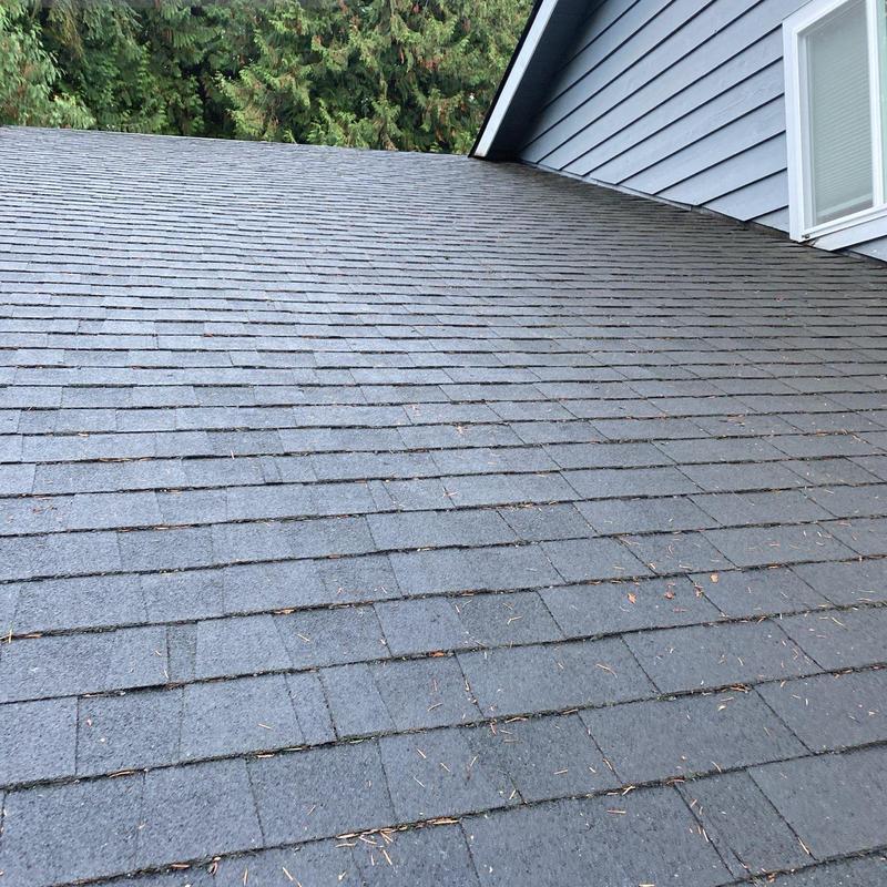 Asphalt shingle roof with scattered pine needle debris