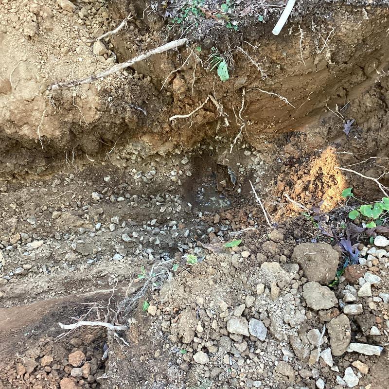 Septic tank field line excavation and installation site