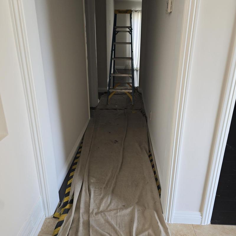 Attic blower motor cleaning with ladder and floor protection Attic blower motor cleaning with ladder and floor protection