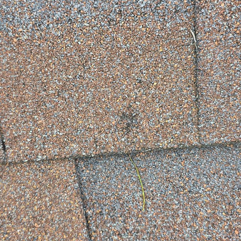 Asphalt shingles with hail damage and granule loss
