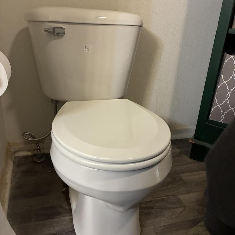 Standard height round bowl toilet installed in bathroom