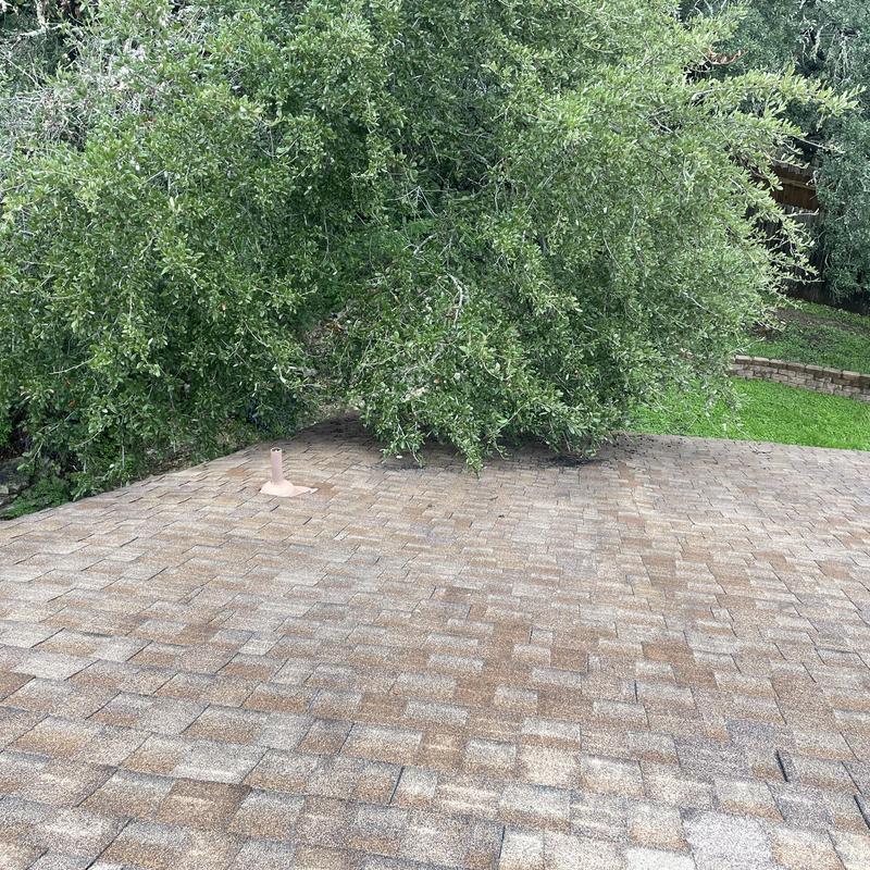 Laminate architectural asphalt shingle roof with hail damage