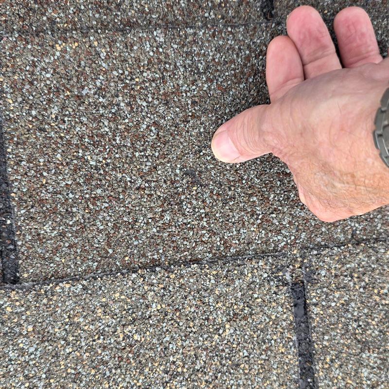 Asphalt roof shingles showing hail damage inspection