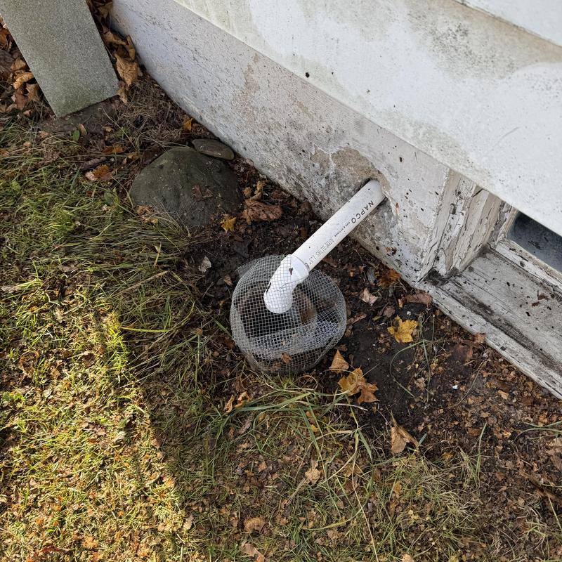 Basement drain pipe with mesh guard outdoors