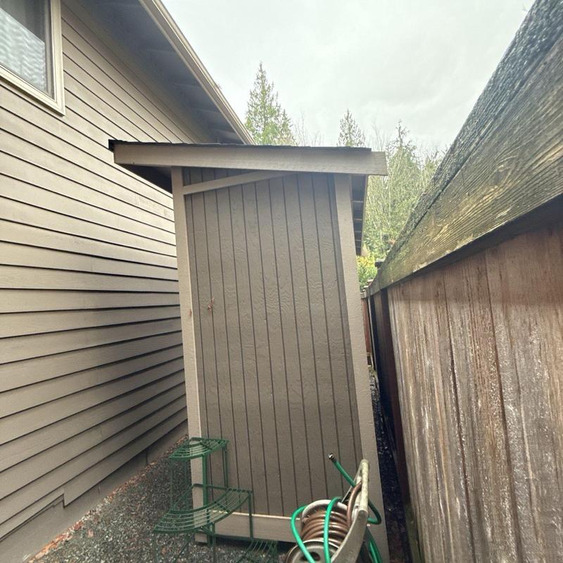 Shed roof and siding inspection between house and fence