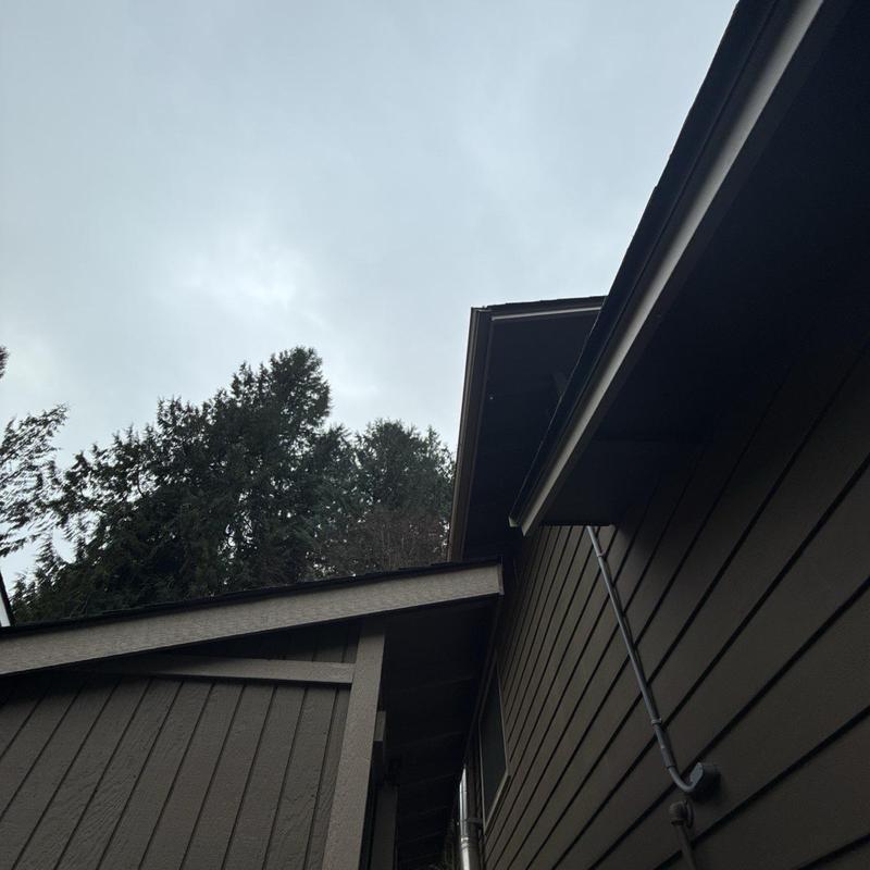 Roof edges and gutter system inspection on house exterior