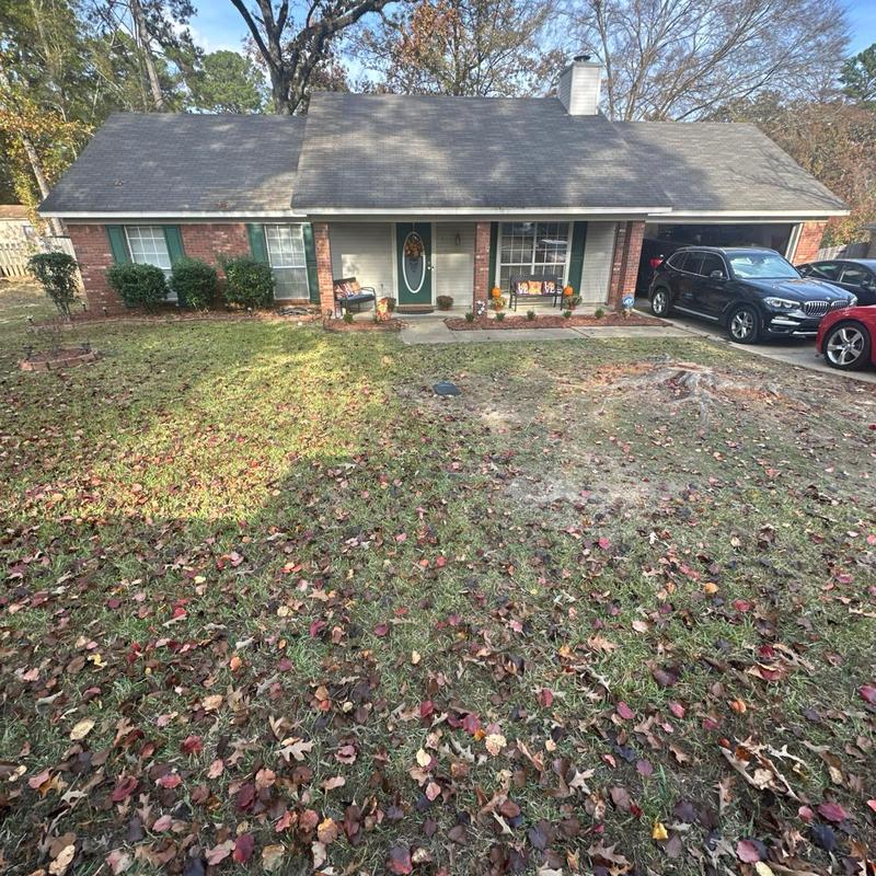 Asphalt shingle roof on residential house with fallen leaves