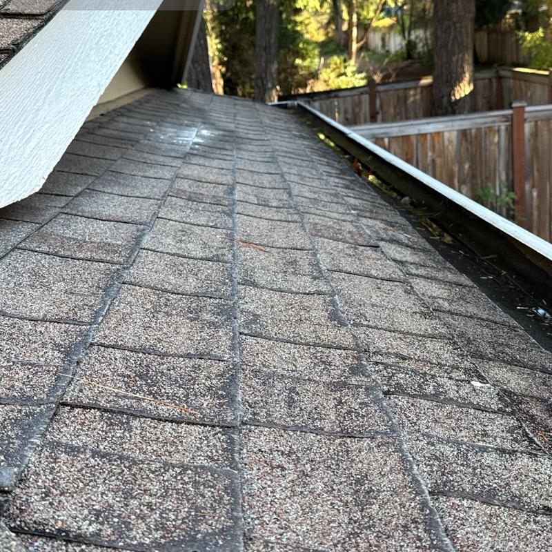 Asphalt shingle roof with visible wear near gutter
