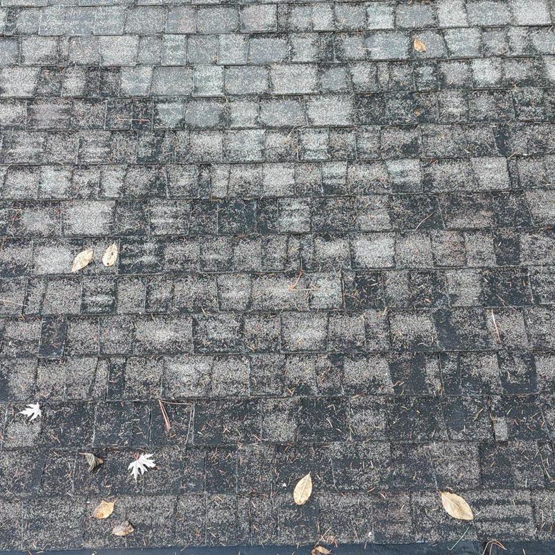 Asphalt shingle roof showing wear and debris buildup