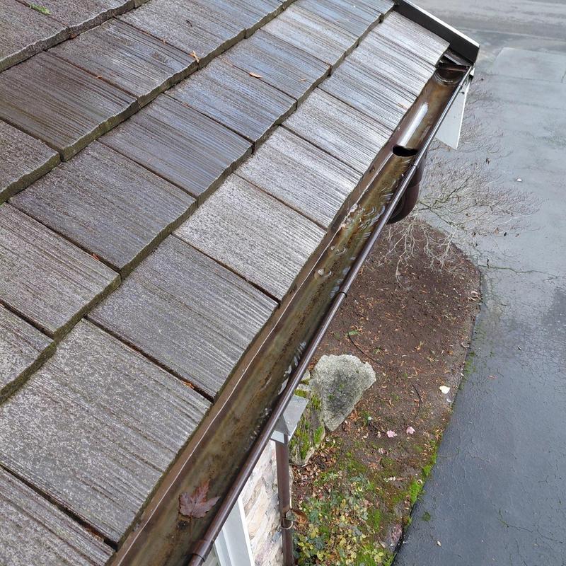 Roof gutters with water flow and debris buildup