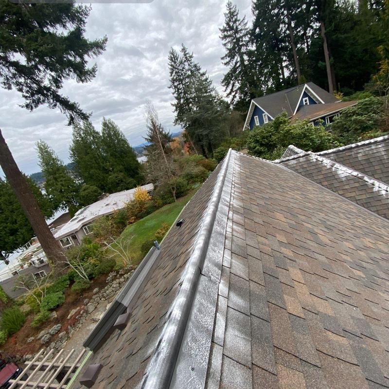 Roof ridge and shingles with moss treatment in progress