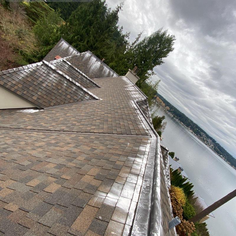 Roof shingles with moss treatment along gutters