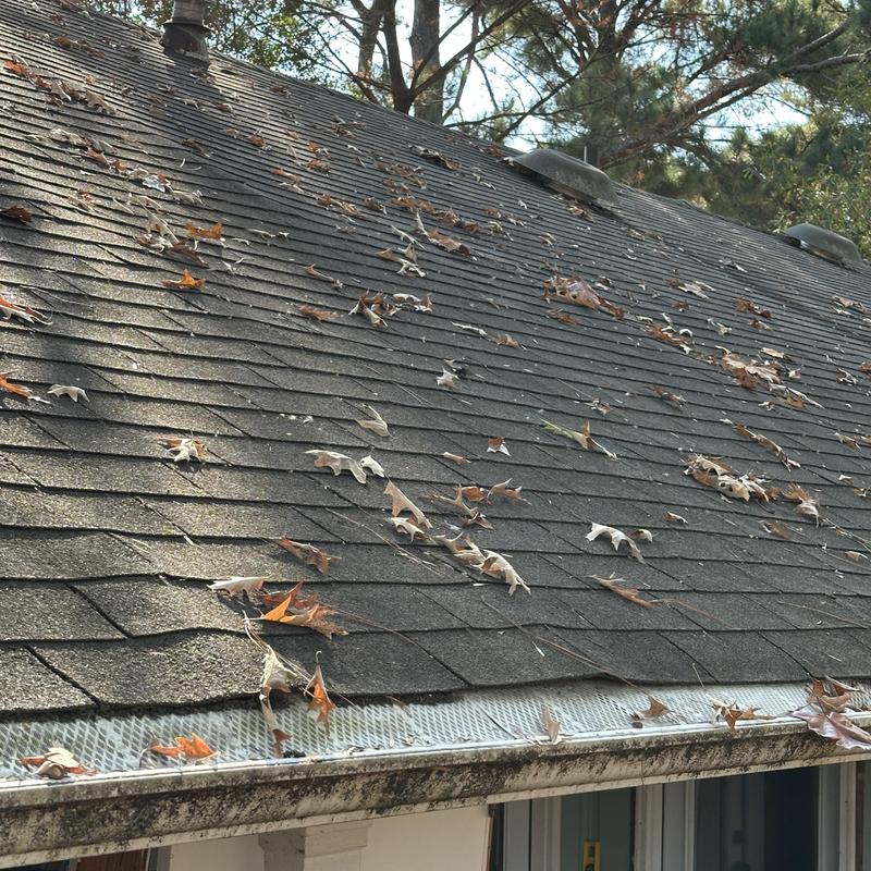 Asphalt shingle roof with leaves and gutter debris