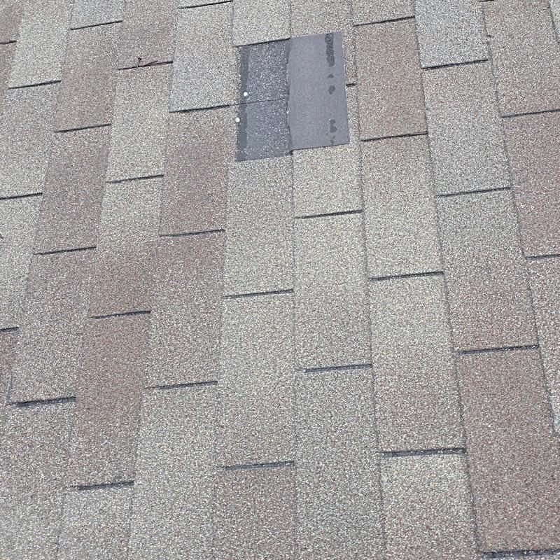 Asphalt roof shingles with hail damage inspection in Terrell TX