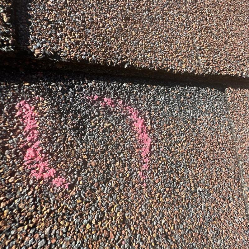 Asphalt roof shingle with marked damage during inspection