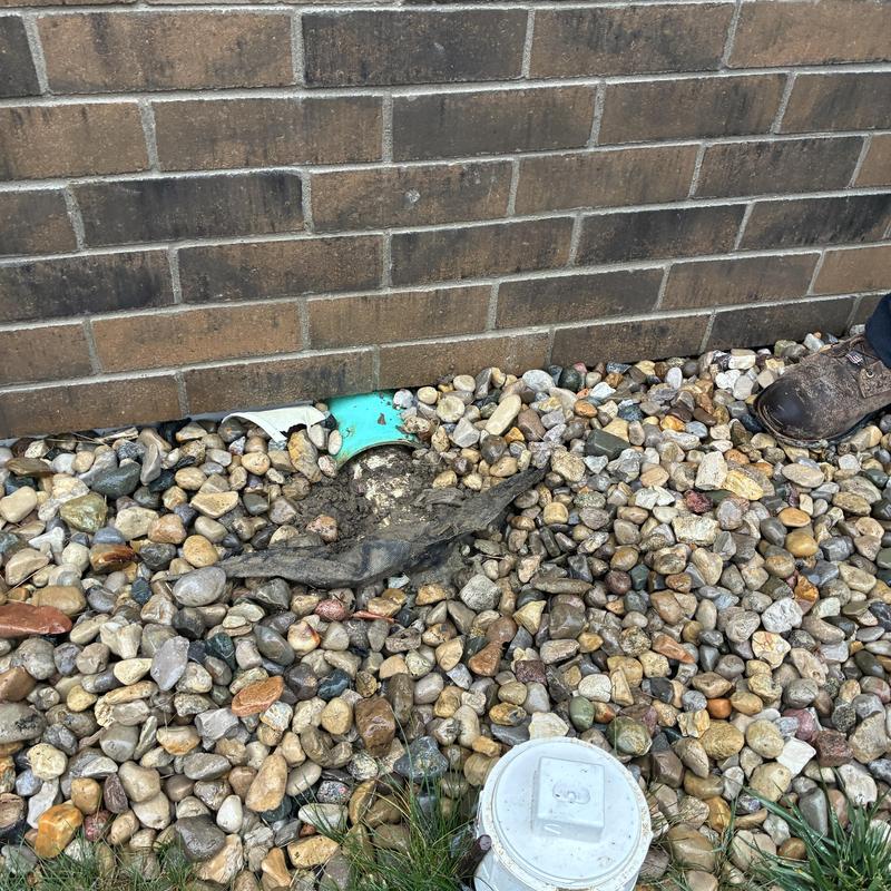 Sewer pipe exposed with damaged pipe wrap under brick wall