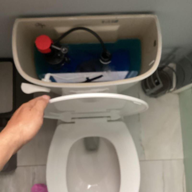 Toilet tank with internal components and hand lifting lid