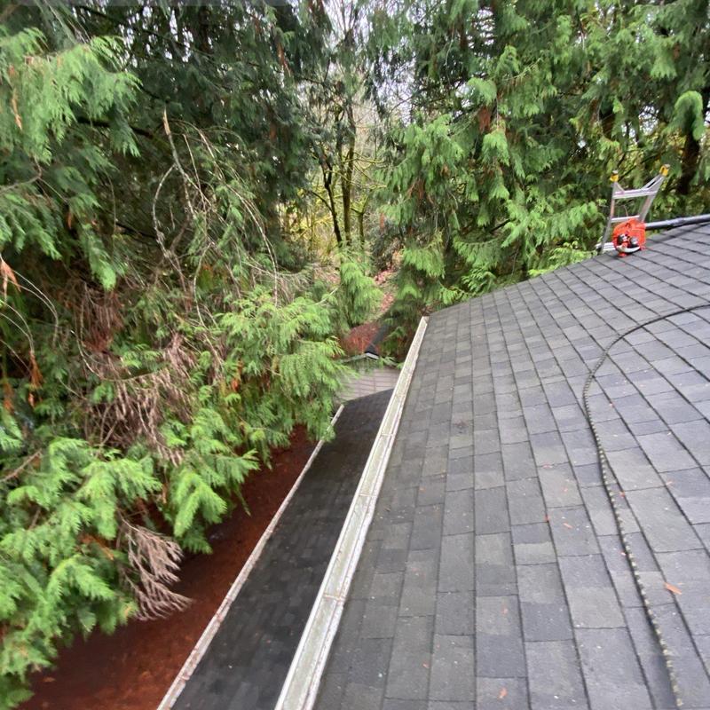 Roof gutters cleared of leaves and debris
