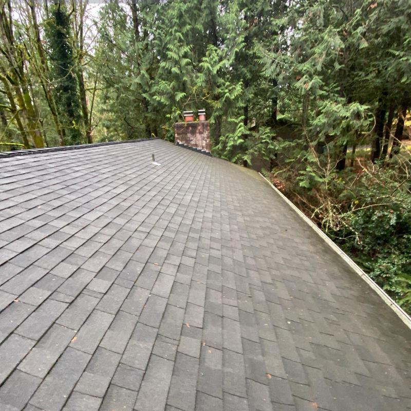 Asphalt shingle roof and gutter cleaning in forested area