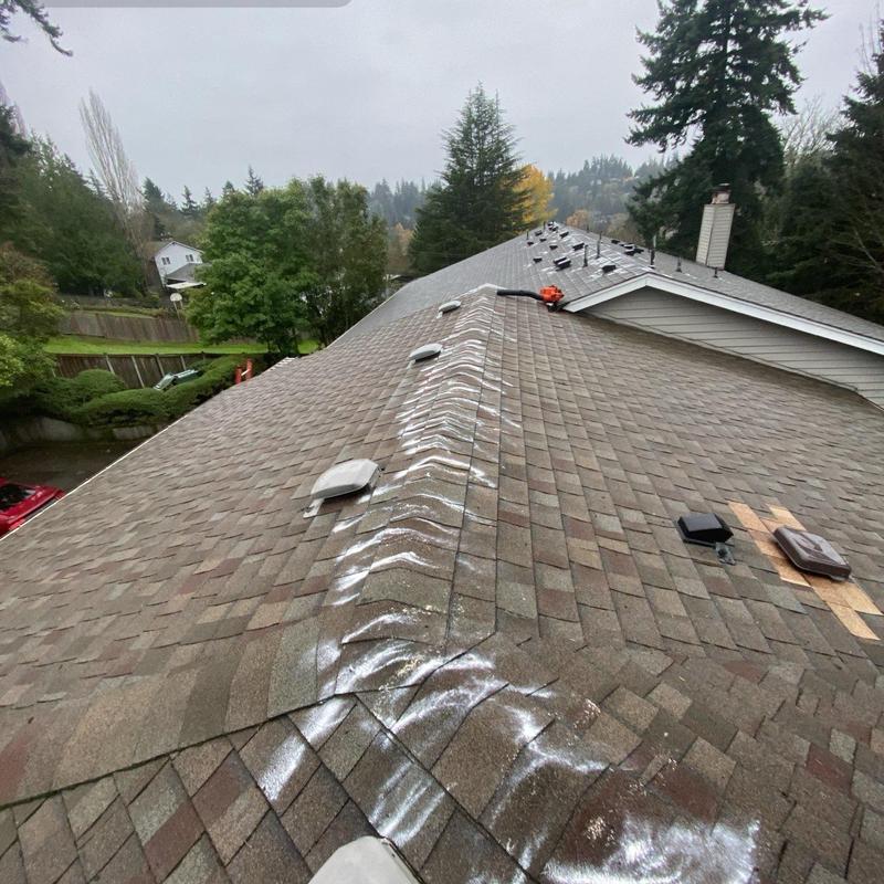 Shingle roof with moss treatment and cleaning tools