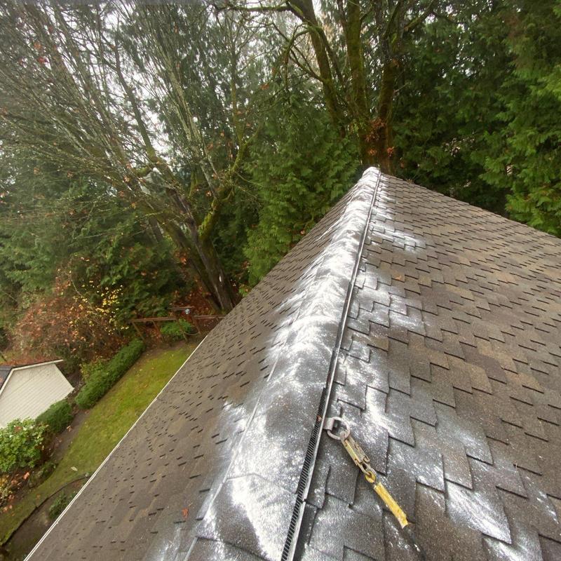 Roof ridge moss treatment application on shingle roof