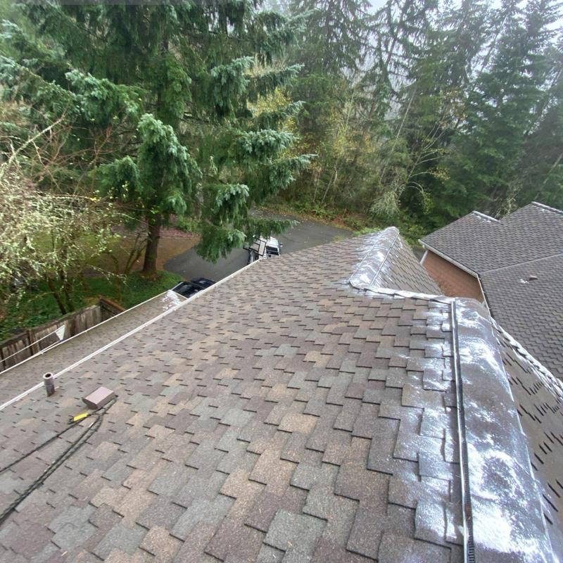 Roof shingles with moss treatment and cleaning in Issaquah