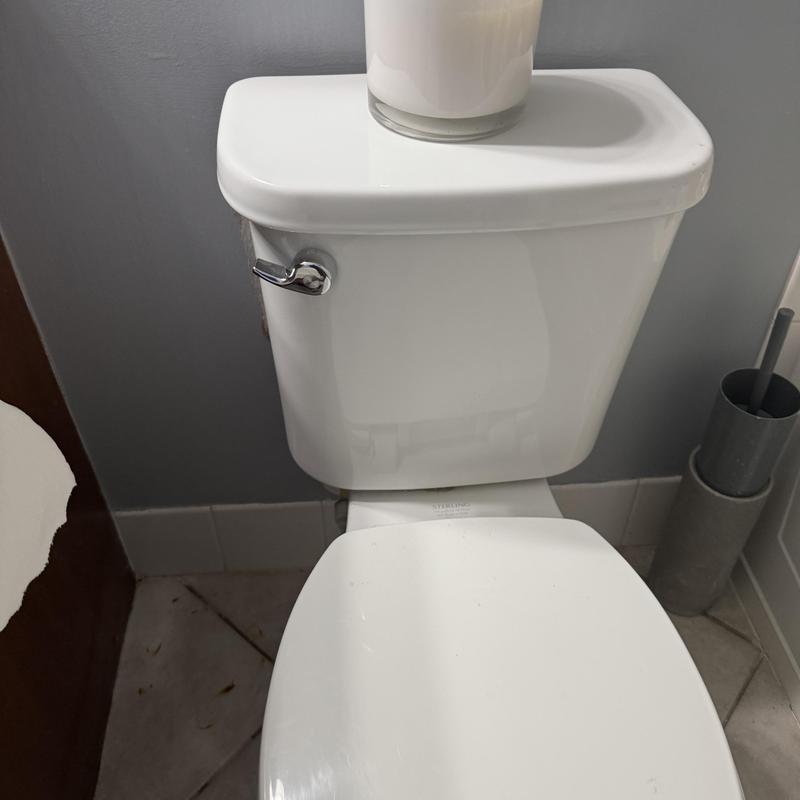 Toilet tank replacement in hall bathroom