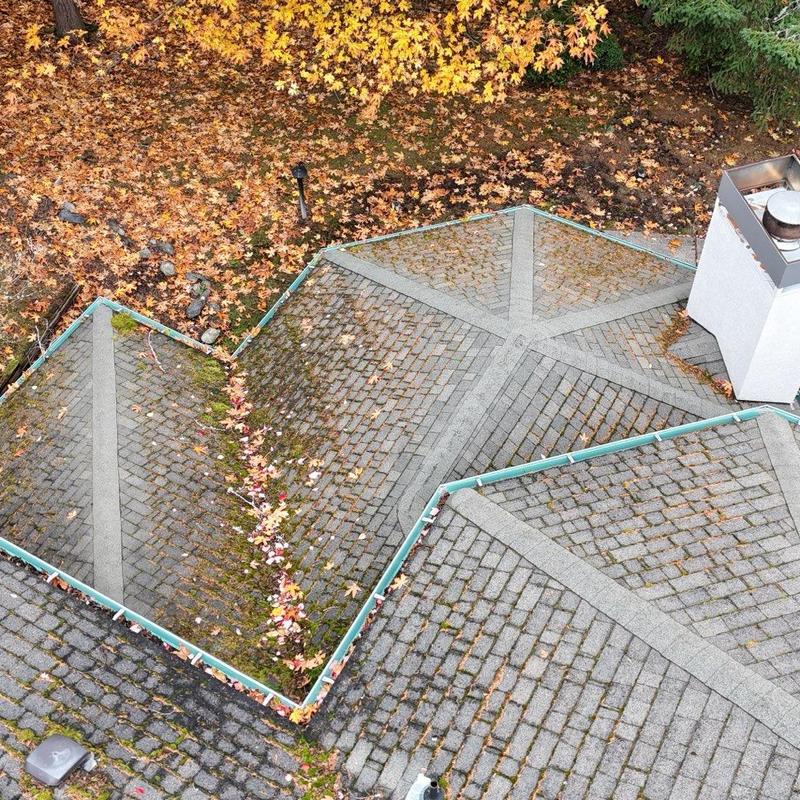 Roof shingles with moss and leaf buildup on slope