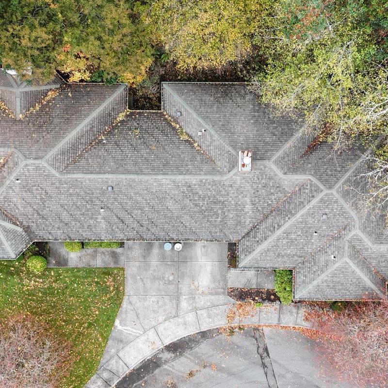 Asphalt shingle roof aerial inspection with surrounding trees