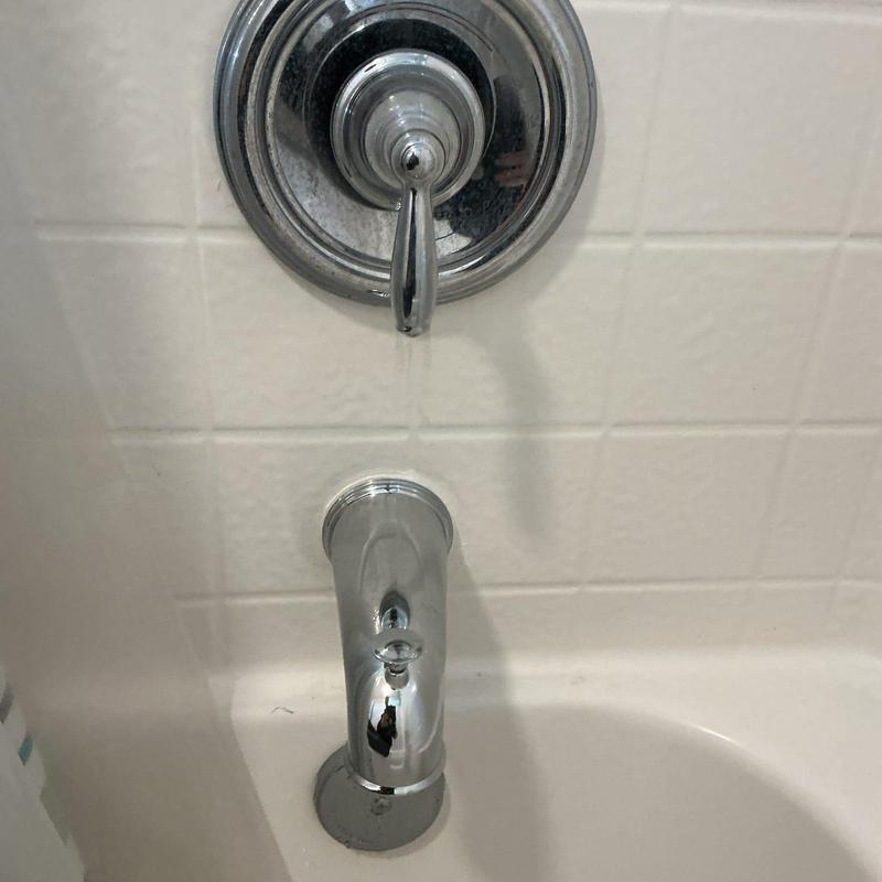 Tub spout and shower diverter with new installation