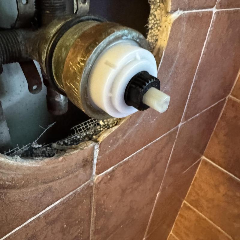 Delta shower cartridge installed in bathroom wall
