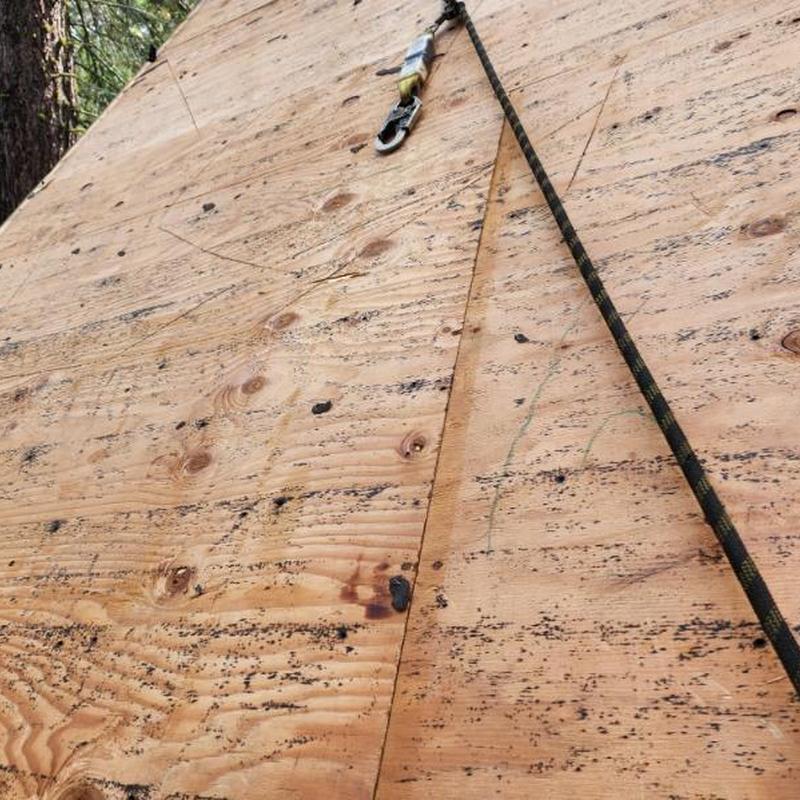 Plywood roof decking with safety harness tether