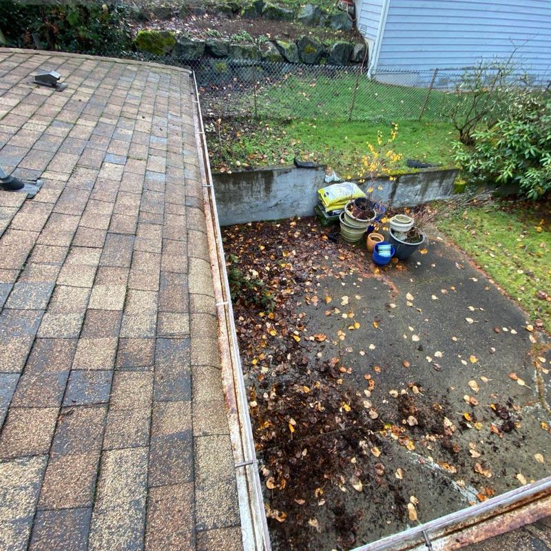 Roof gutter clearing with leaf debris in Arlington, WA