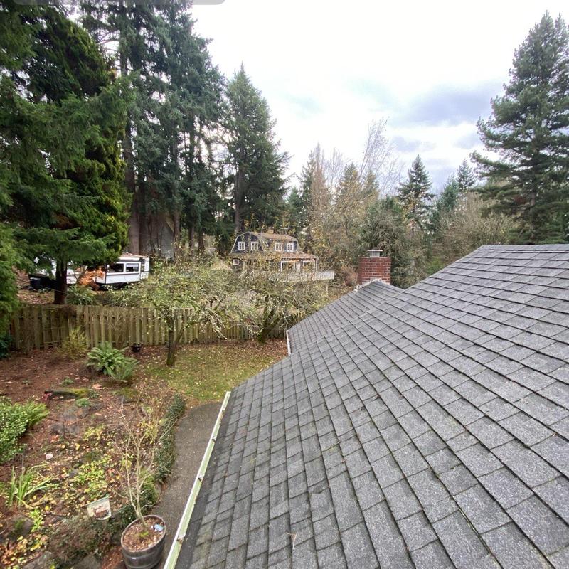 Roof shingles and gutter cleaning near wooded area