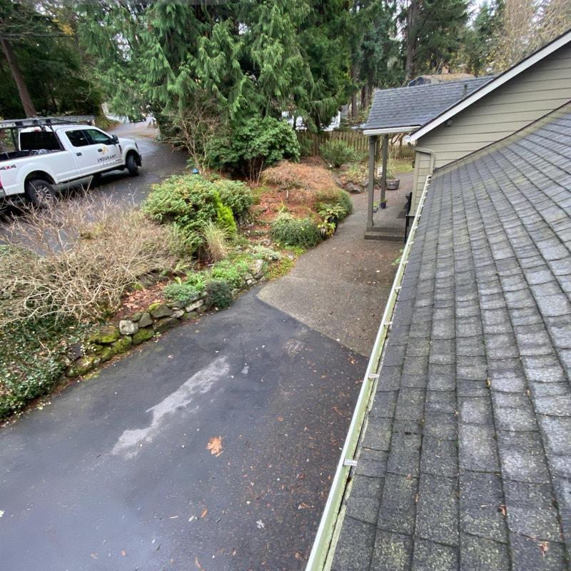 Roof gutters with minor debris and wet shingles