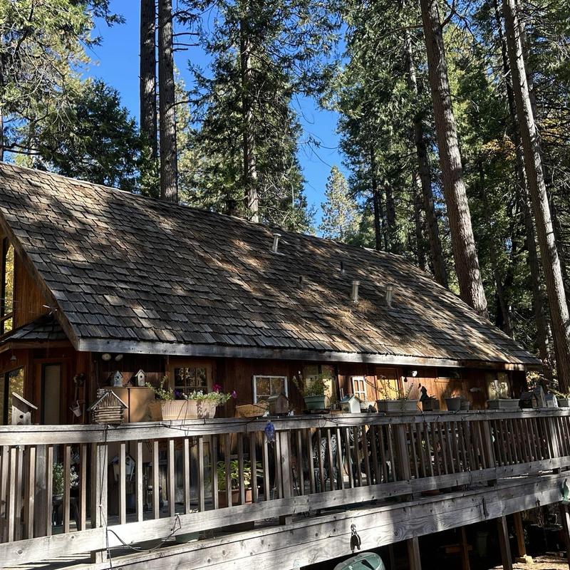 Asphalt shingle roof on rustic wooden cabin