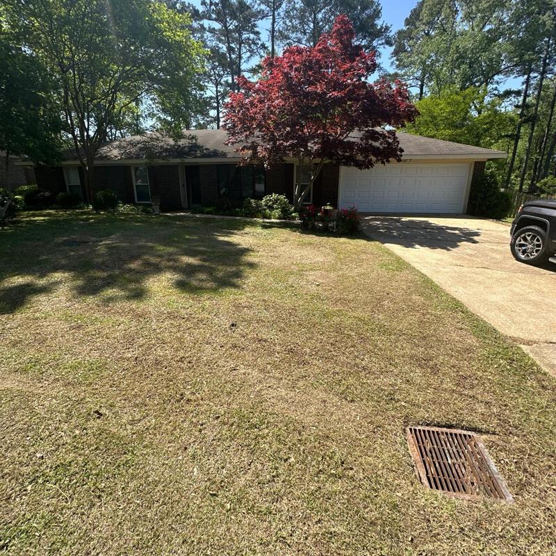 Roof shingles inspection on residential home in Florence
