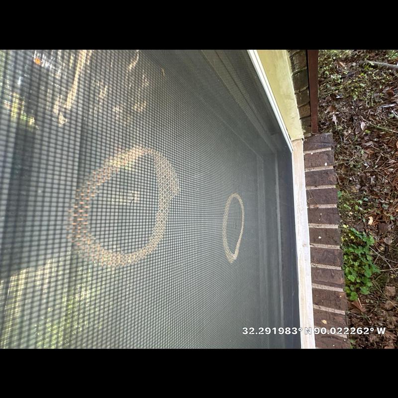 Window screen with insect nest markings during inspection