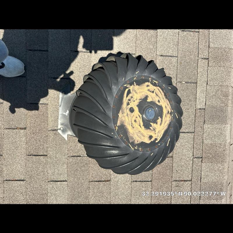 Roof turbine vent with bird nesting debris